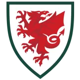 Wales - BuyJerseyshop
