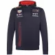 Men Red Bull F1 Red Hoodie 2023 - BuyJerseyshop